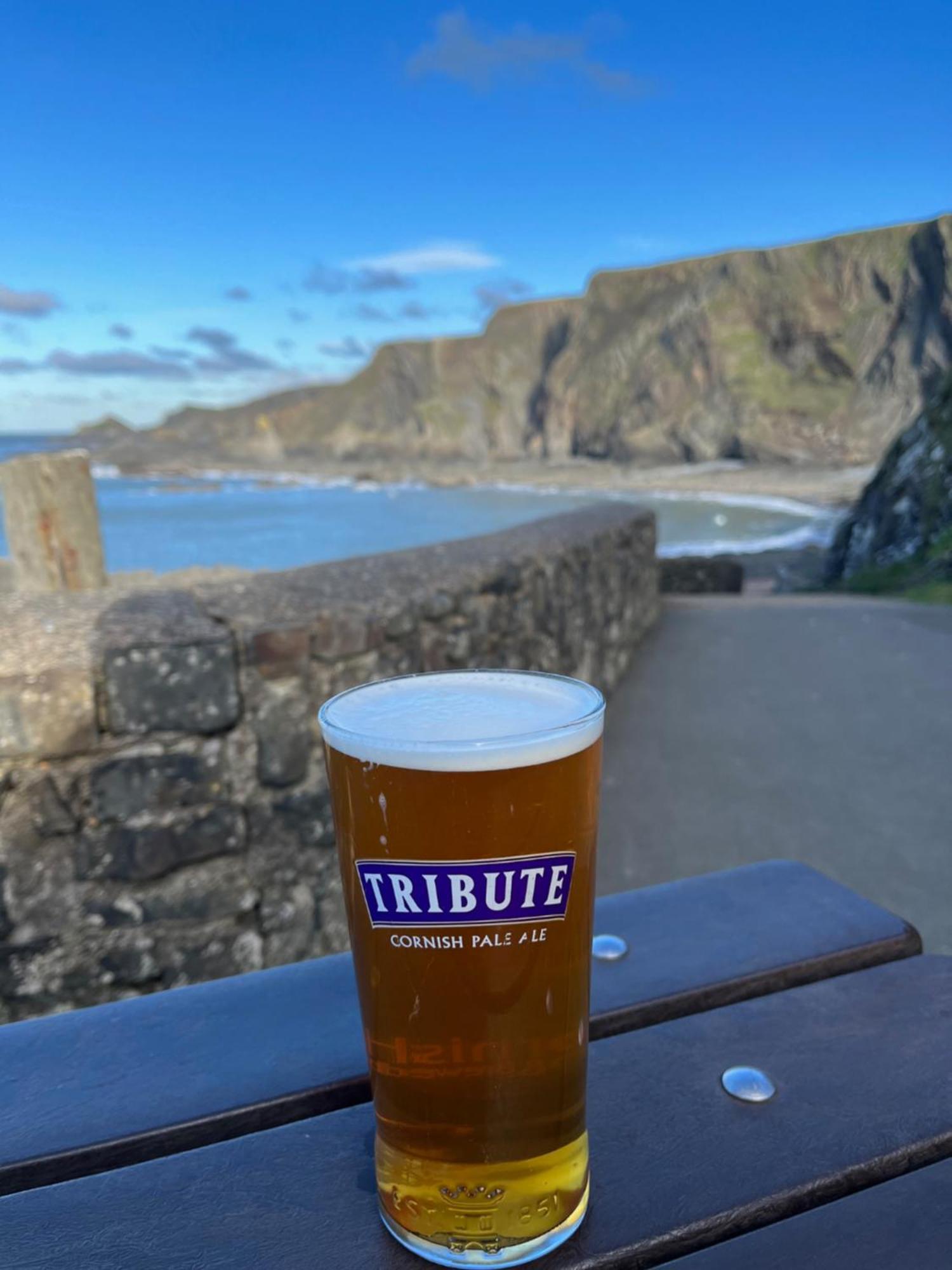 Hartland Quay Hotel Exterior foto